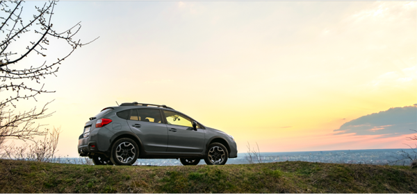 Version 1 - Color selected 2